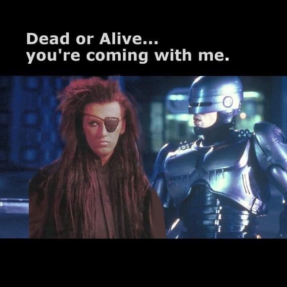 Meet your Posher, Sophia - Picture 5 of 5